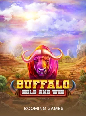 Buffalo Hold and Win
